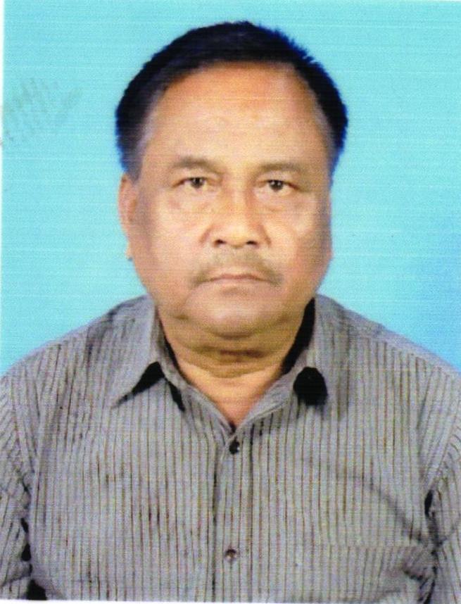 Dhaneswar Roy