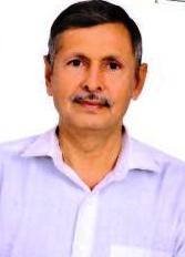 Surajmal Malik