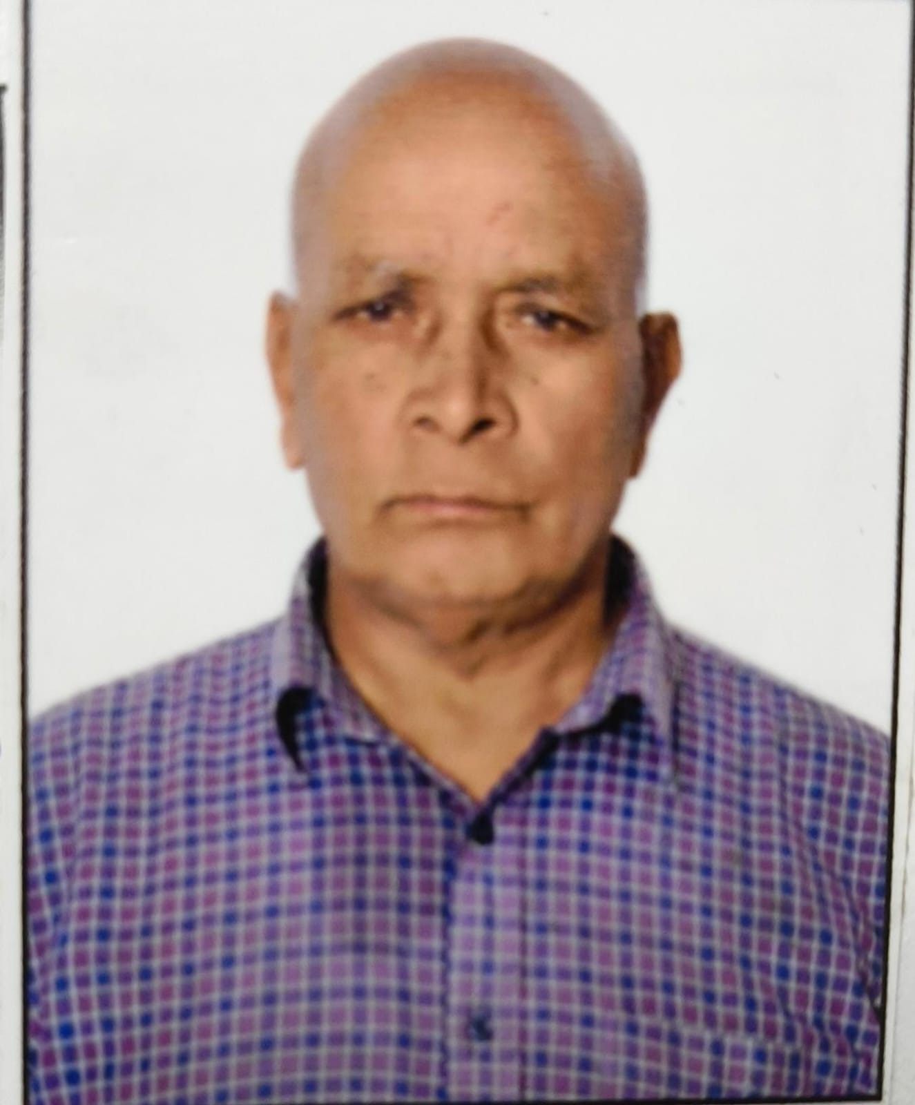 Lehana Singh