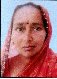 Patel Vinuben Rameshbhai
