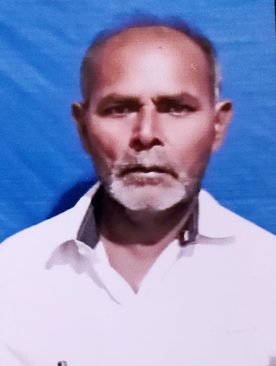 Chanani Mushabhai Abharambhai