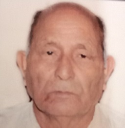 Hans Raj