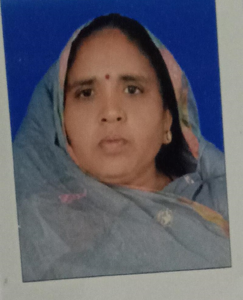 Sogra Bibi