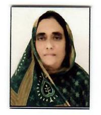 Nisat Alam