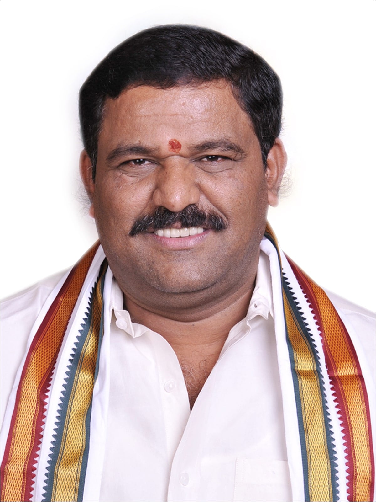 S.N. Subbareddy (Chinnakayalapalli)