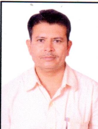 N. Sreedhar Naik