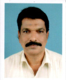 P. M. K. Bava
