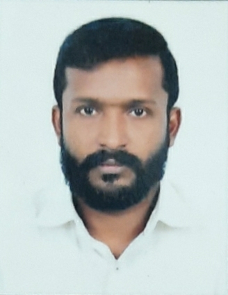 Bipin Pallipuram