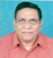 Badri Prasad Ogre