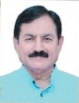 Bharatbhai Madhavsinh Solanki