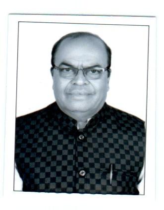 Ravindra. N