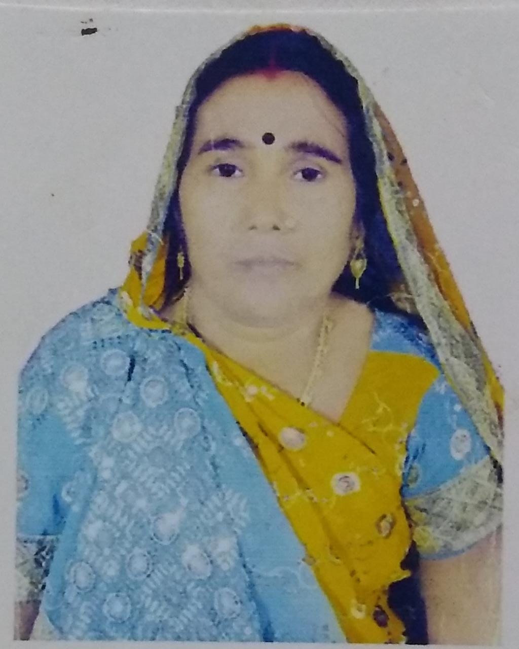 Nirmala Dr. H.L. Prajapati