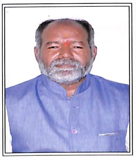 Gondi Bujangam