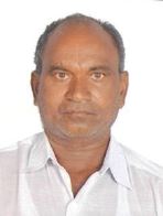 Ippa Lachanna