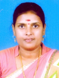 Sengodi T