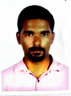 Freedon D