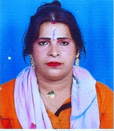 Paro Kinner