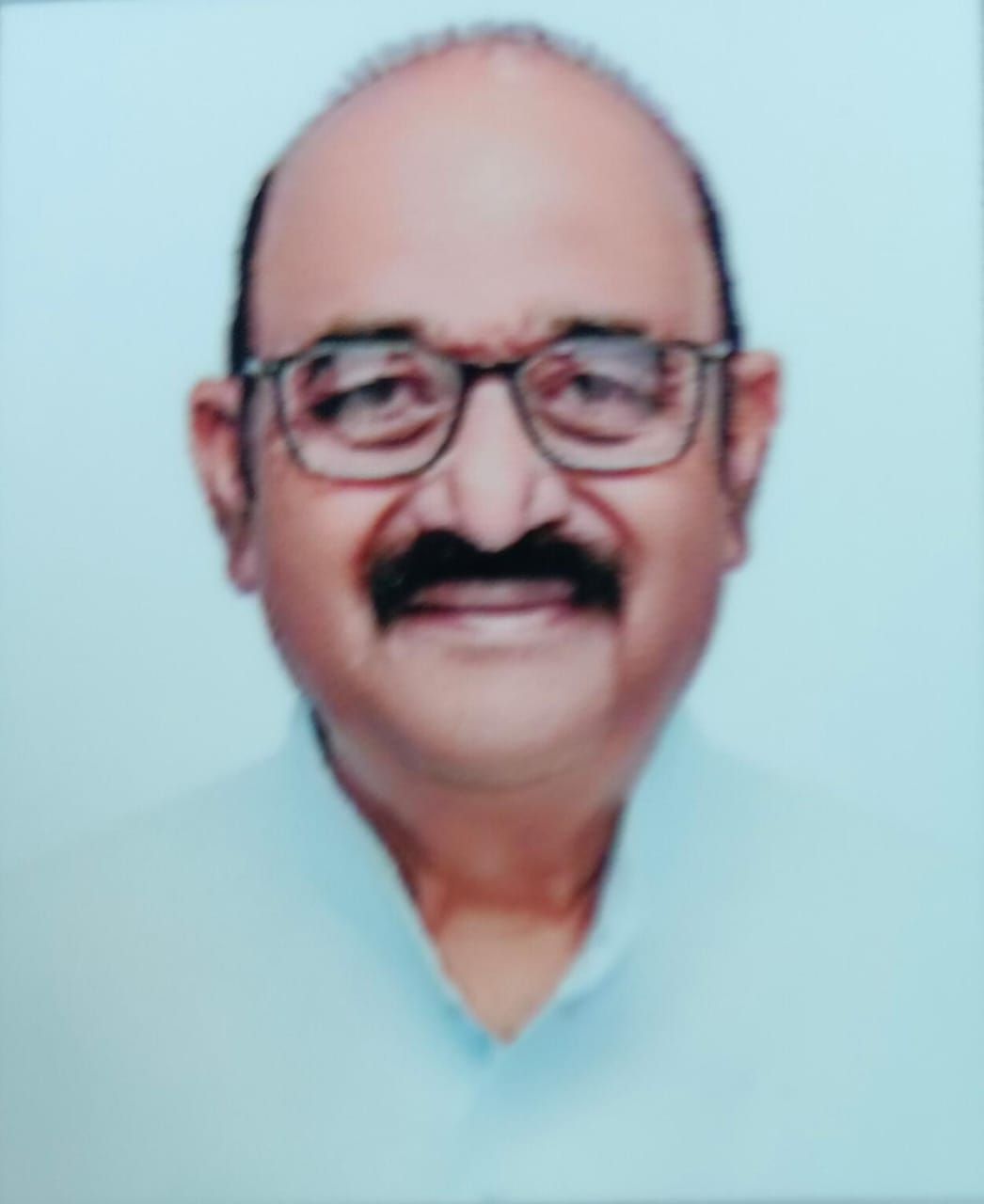 Narmada Prasad Prajapati (N.P.)
