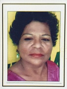 Shashi Stella