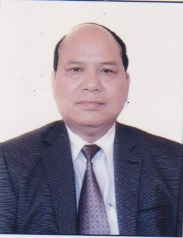 V. Zirsanga