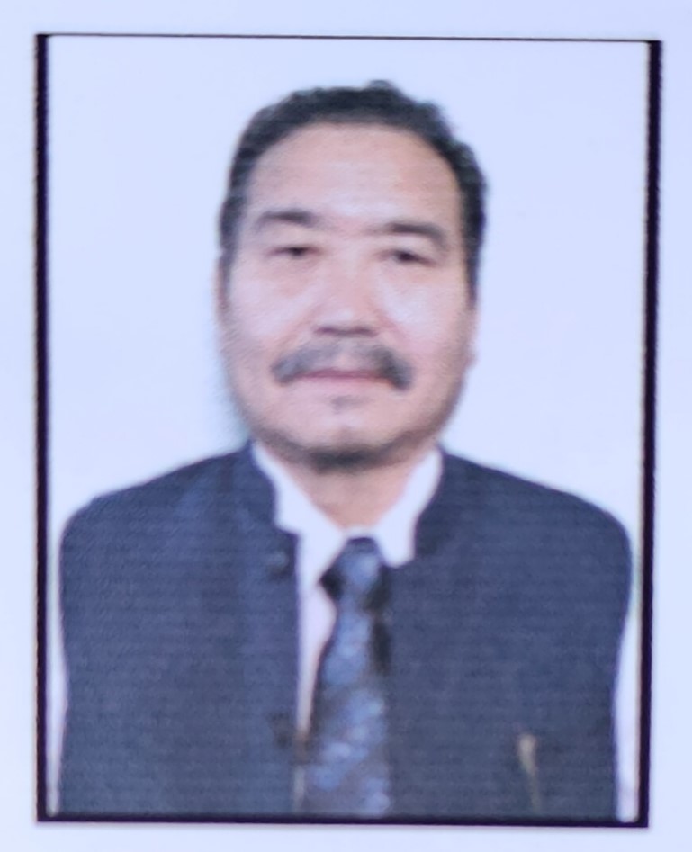 Y M Yollow Konyak
