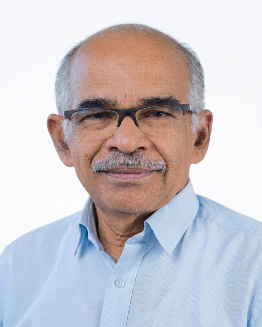 A P Narayanan