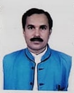 Amaresh Ray