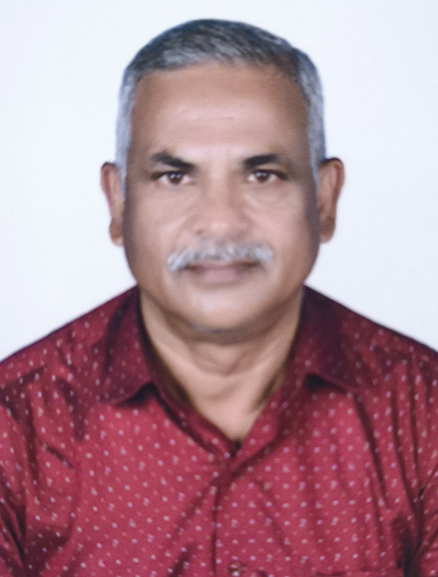 Anand Ramnath Arlekar