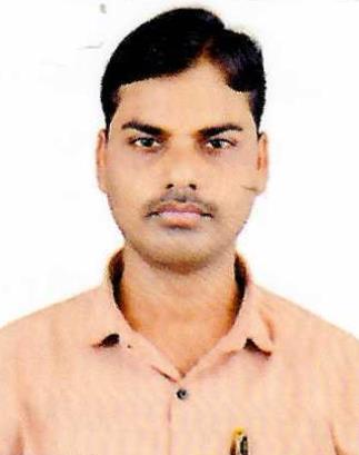 Anil Ravishankar Raut