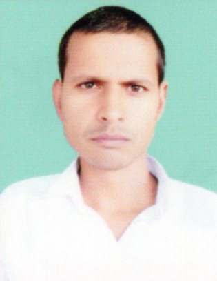 Baiju Safi