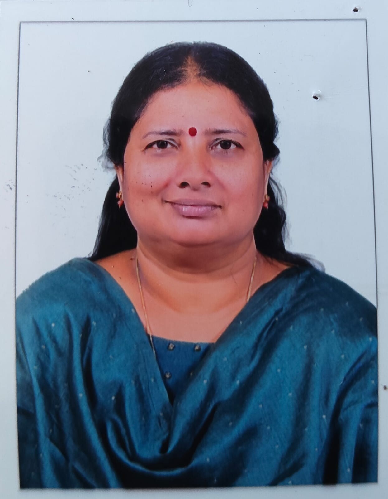 Bindhu Menon L R