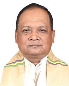 Bipul Gogoi