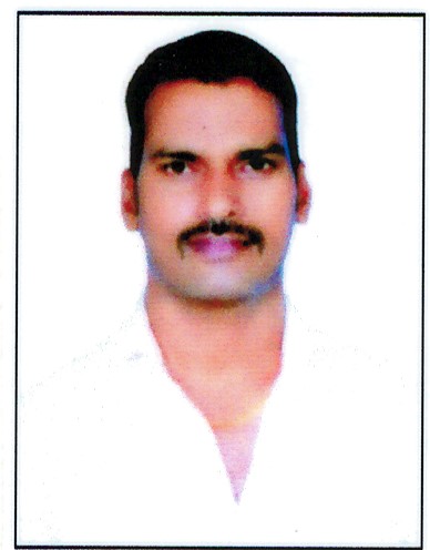 Dv Naik