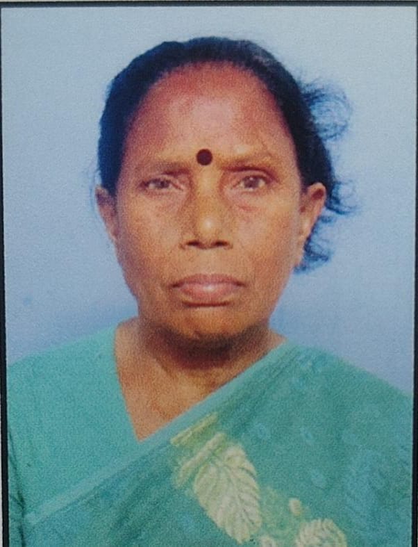 Kaberi Dolui