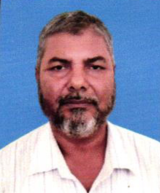 Md Sarwarul Islam Sarkar
