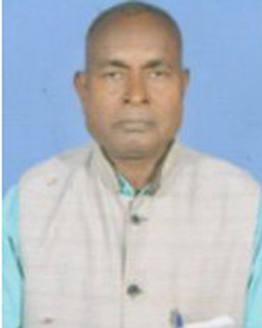 Nirmal Saw