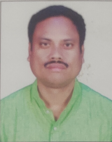 Partha Pratim Ray