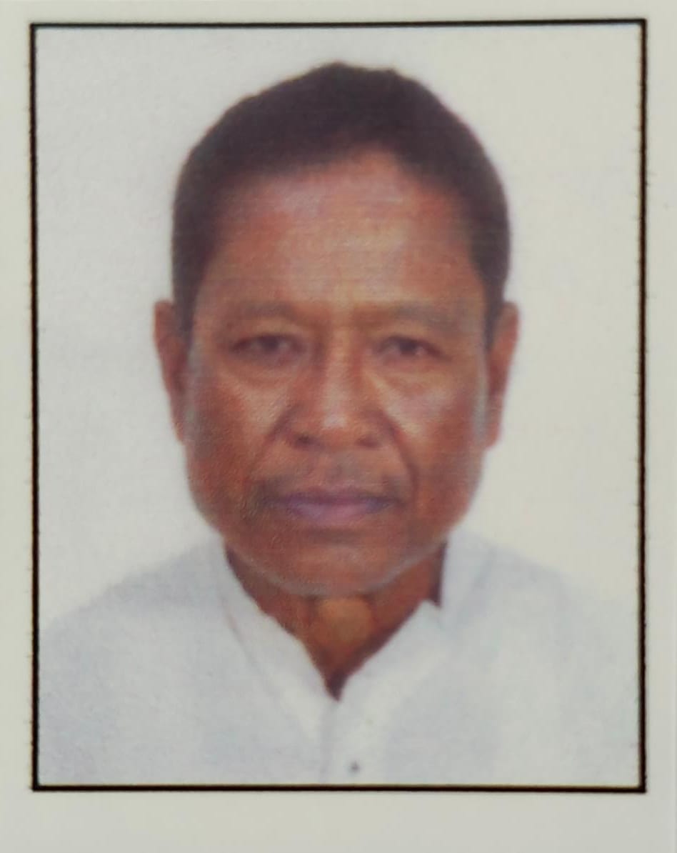 Rabin Roy