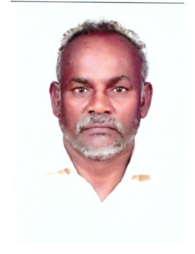 Rajaram M
