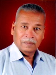 Ramesh Vishwanath Ingle