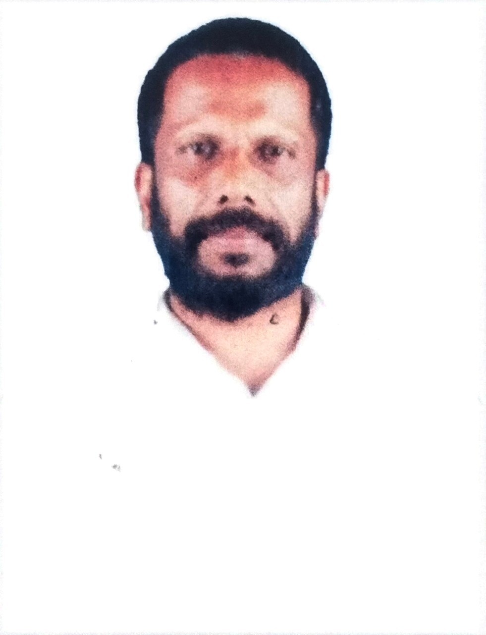 Ramesh.P