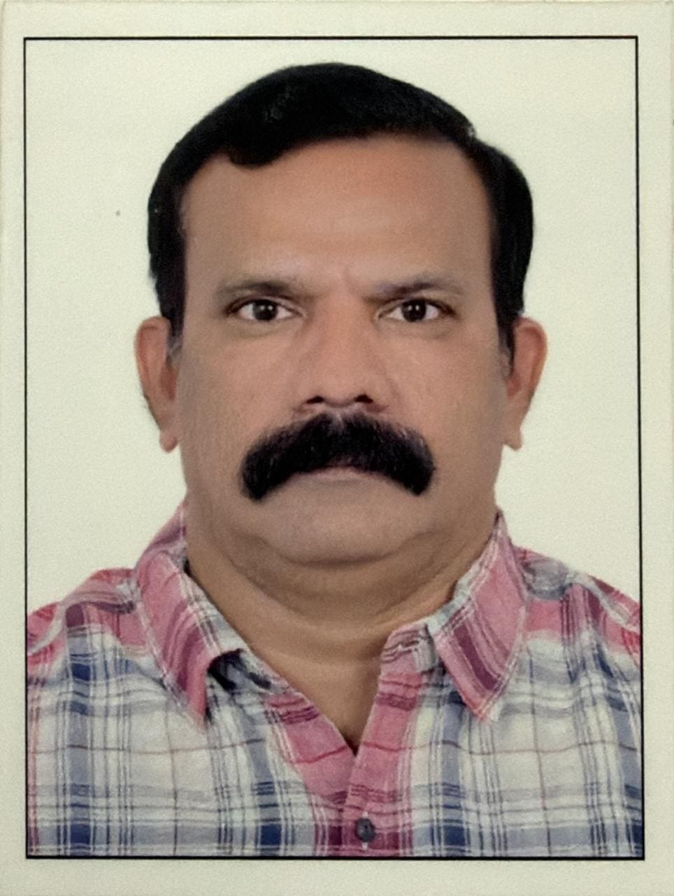 Saju M P