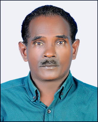 Sanjeeva