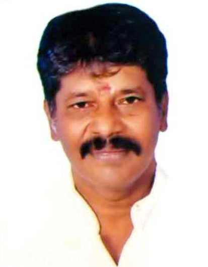 Sivanesan P