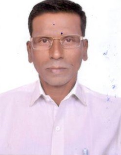 Vilas M Kanamaskar