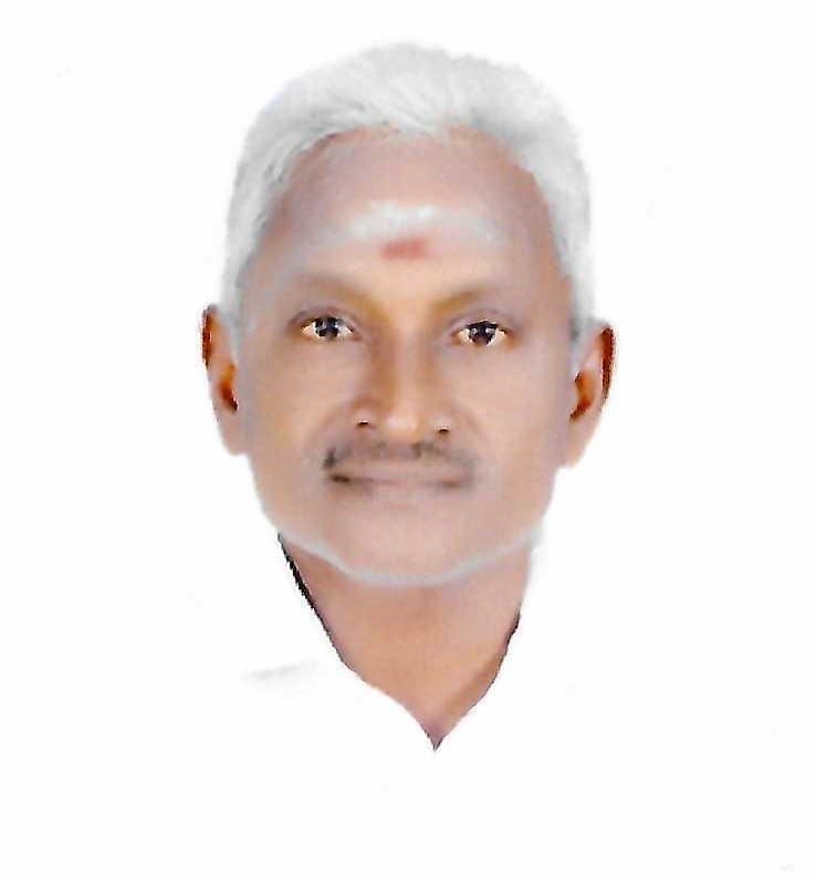 Viswanathan P