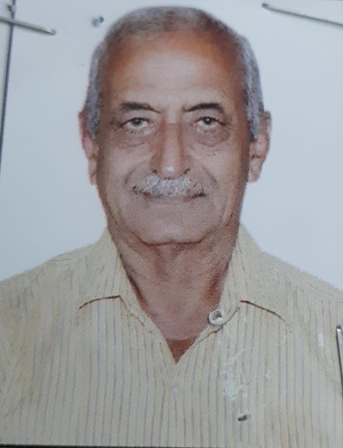 Naresh Kumar Sharma (Pareek)