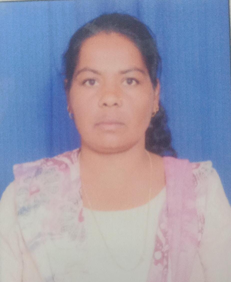 Goga Devi