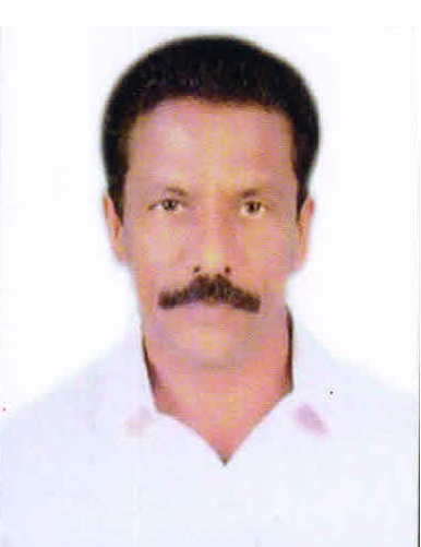 Shanmugavel P