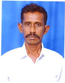 Sappani